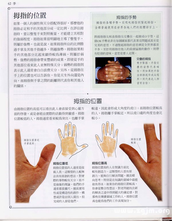 《手相學習百科》：拇指