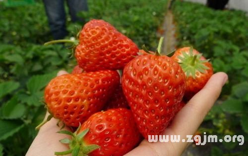 夢見買草莓