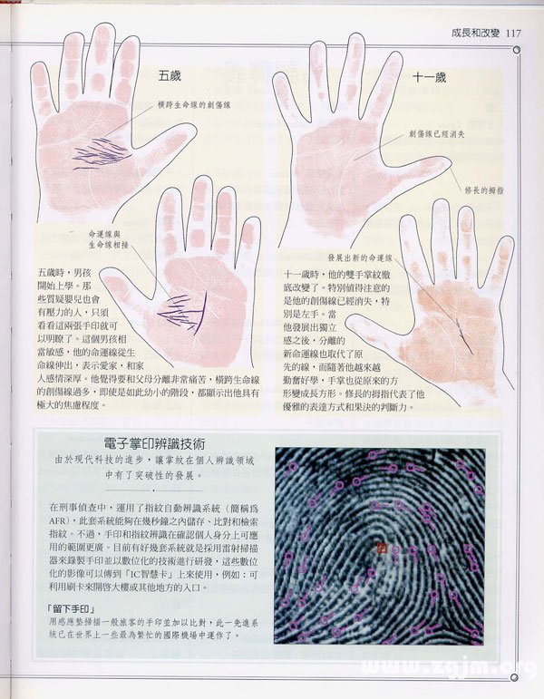《手相學習百科》：手紋的成長與改變
