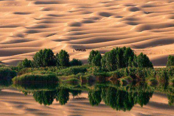 夢見綠洲：沙漠綠洲，成功之兆_周公解夢