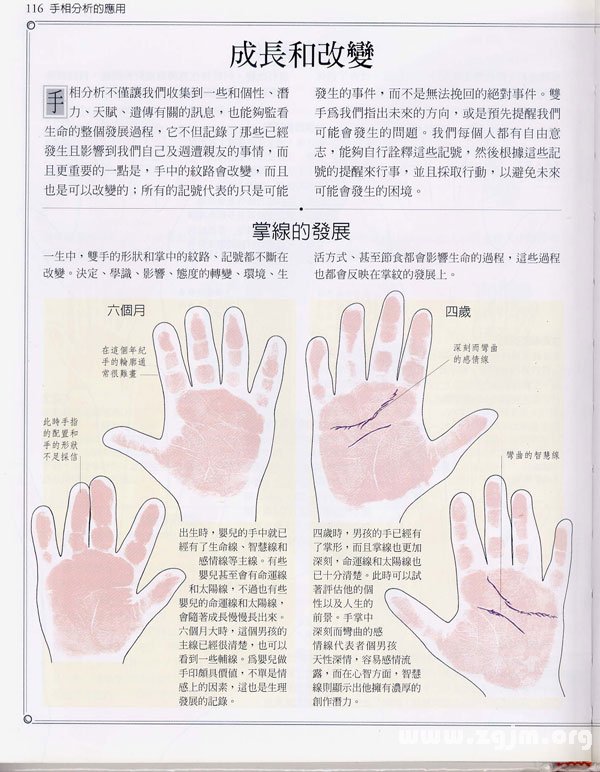 《手相學習百科》：手紋的成長與改變