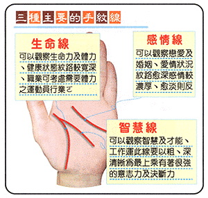 三種主要的手紋線