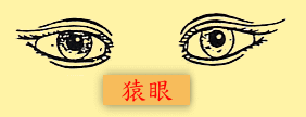 眼睛：猿眼