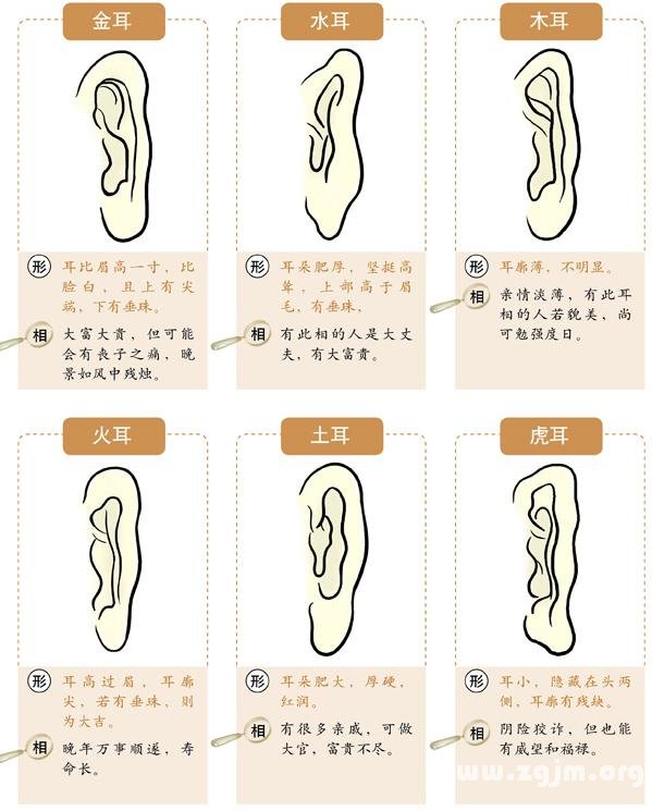 圖解耳的形狀種類