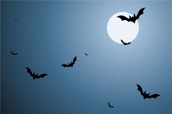 夢見蝙蝠是什麼意思_周公解夢