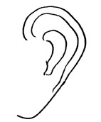 運動型耳