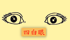 眼睛：四白眼