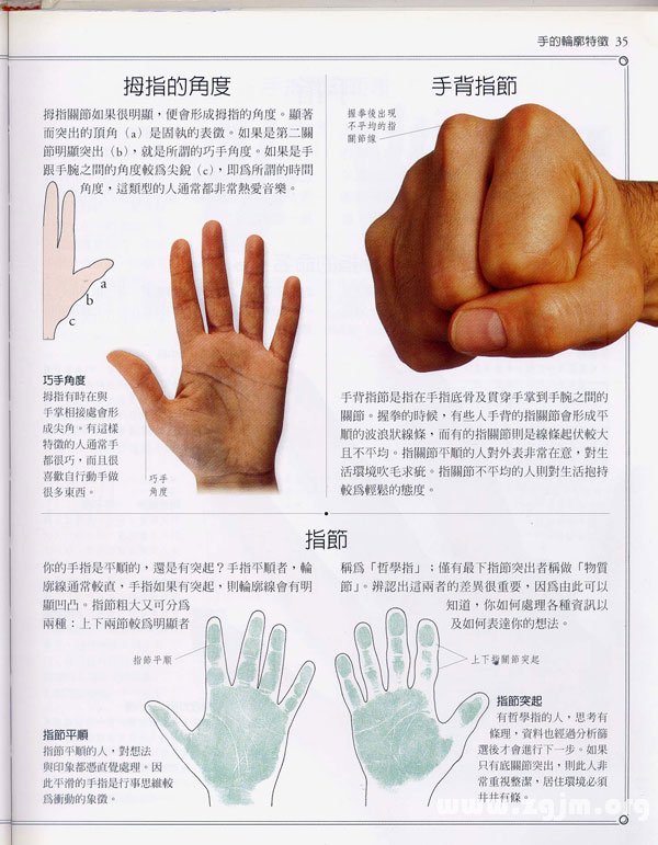 《手相學習百科》：手的輪廓特徵
