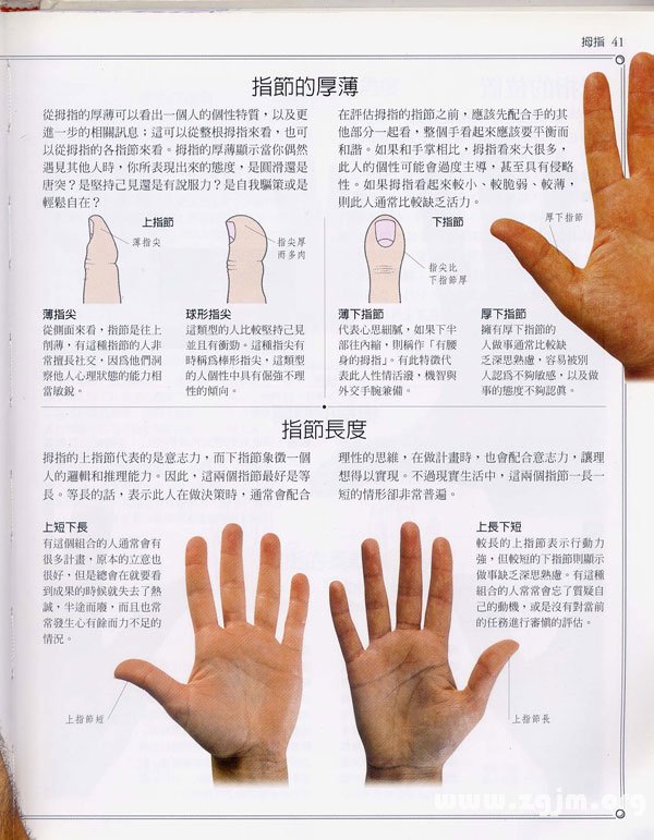 《手相學習百科》：拇指