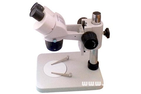夢見顯微鏡