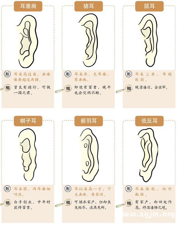 圖解耳的形狀種類