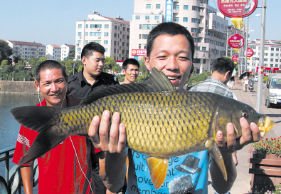 夢見一條大鯉魚