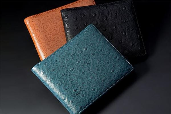 女人夢見包包被偷了_周公解夢