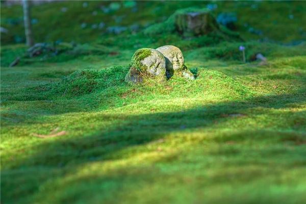 夢見地陷_周公解夢