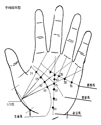 最詳細的女人手相圖解