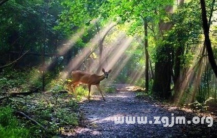 12星座職場心理資本_十二星座