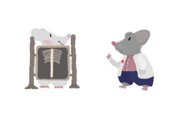 夢見老鼠亂竄_周公解夢