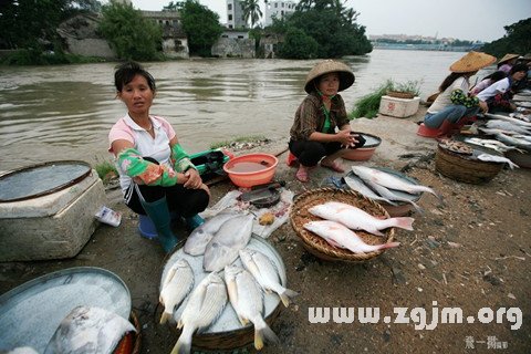 夢見魚市