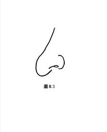 垂肉鼻