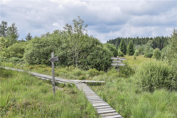 夢見走錯是咋回事_周公解夢