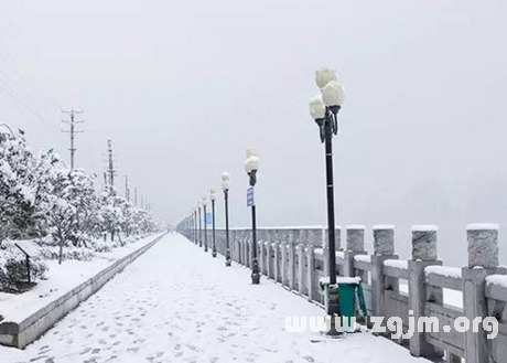 夢見遍地是雪