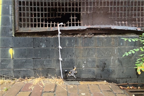 夢到了追犯人意味著什麼_周公解夢