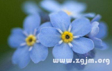 職場中容易被掌聲迷失的星座_十二星座