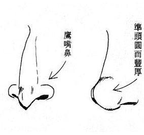 女人面相算命圖解(11)