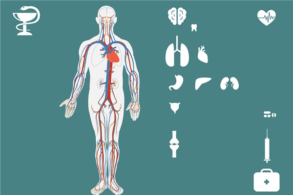 夢見五臟六腑預兆了什麼嗎_周公解夢