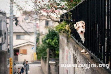 B型血性格隨時間而變化_血型性格