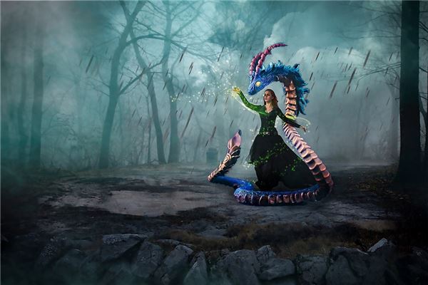 夢見蛇什麼意思 女人_周公解夢