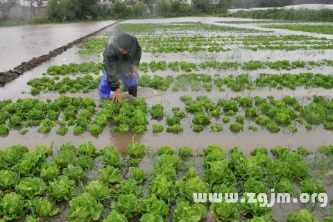 夢見田地被淹