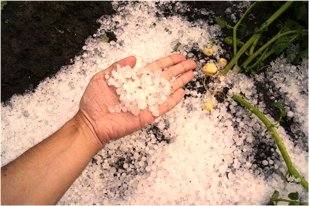 夢見穿著襪子雪地里走怎么樣_周公解夢官網