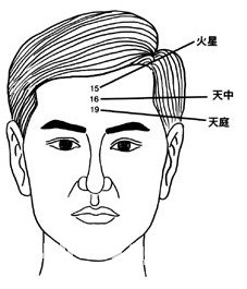 火星、天中、天庭位置