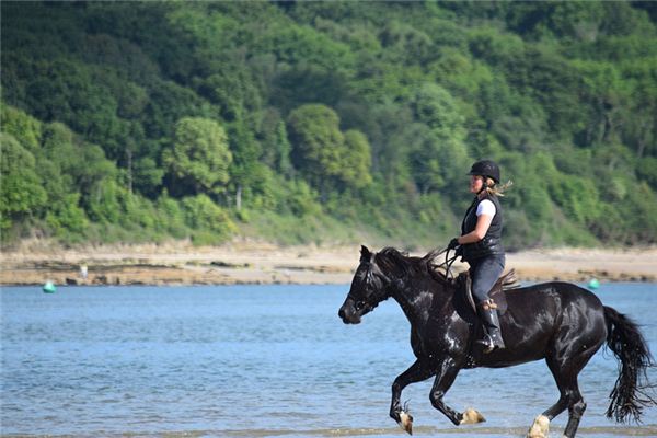夢見黑馬是什麼意思_周公解夢