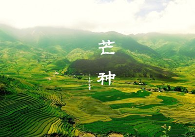 2014年芒種時間
