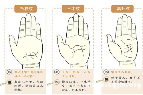 超全！掌紋手相讓你一次看個夠