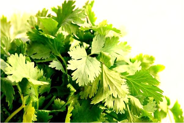 夢見別人炒好多香芋和菜啥意思_周公解夢官網