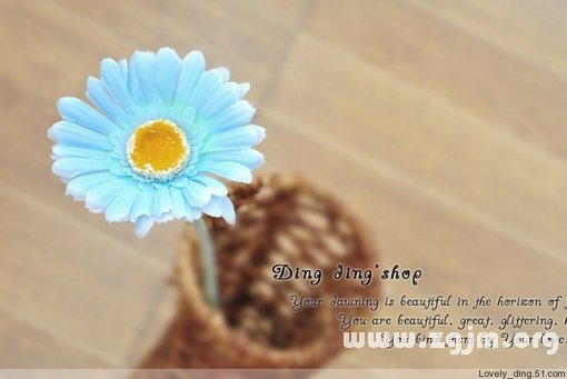 天枰座幸運花和情愛世界_十二星座