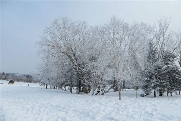 夢見雪景_周公解夢