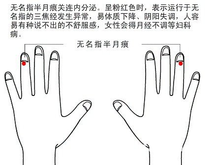 半月痕觀健康圖解4