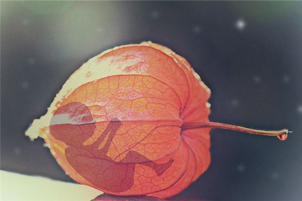 夢見打胎_周公解夢