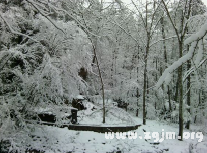 夢見山區下大雪