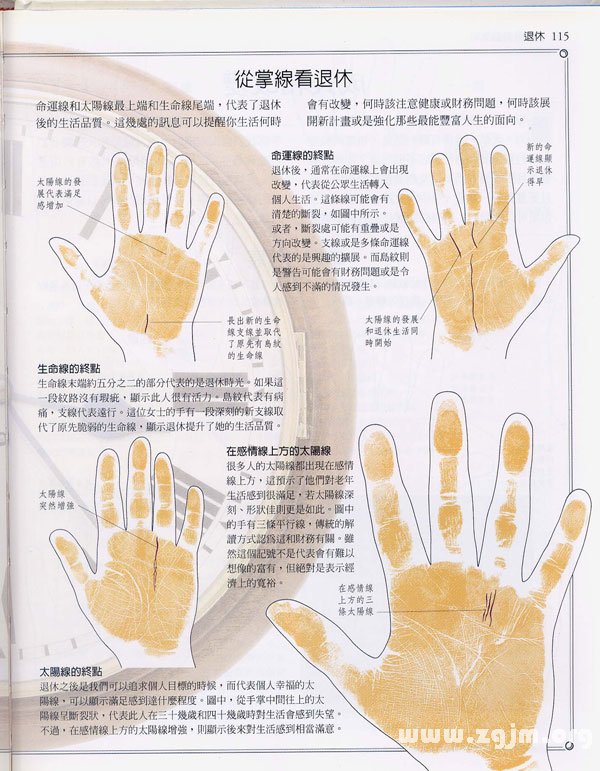 《手相學習百科》：手紋看退休