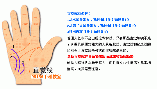 手相圖解大全：12、各類掌紋支線_看相大全