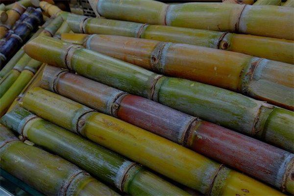 夢到了甜桿有什麼意思嗎_周公解夢