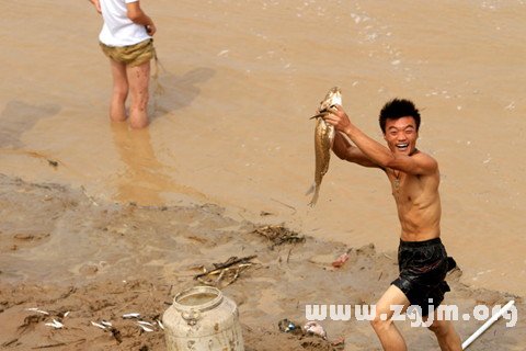 夢見撿魚