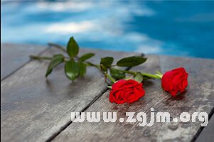 職場中最任勞任怨的星座_十二星座