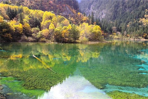 夢見平靜的湖水_周公解夢