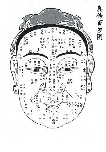 真傳百歲圖